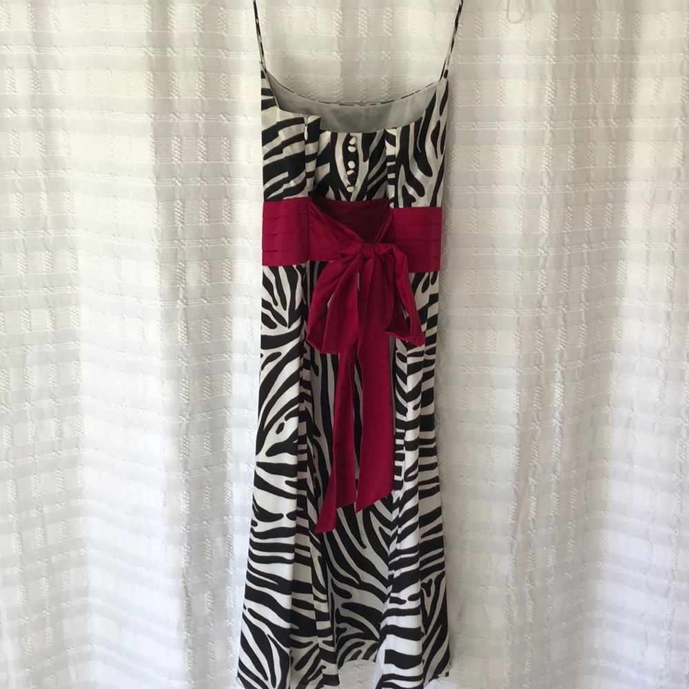 Ann Taylor Black and White Zebra Print Dress with Pink Accent - Picture 2 of 5